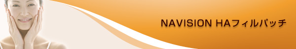 ＮＡＶＩＳＩＯＮ　ＨＡフィルパッチ